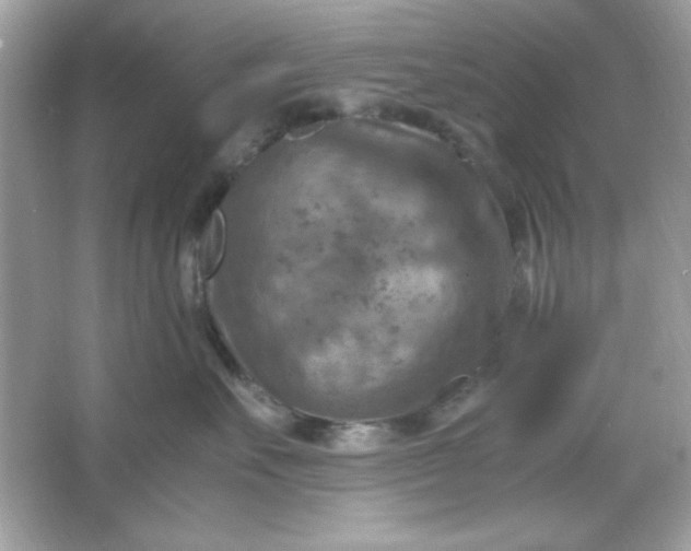 X0000066020527200603171535