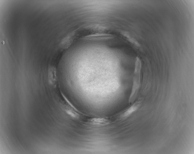 X0000066020528200603171535