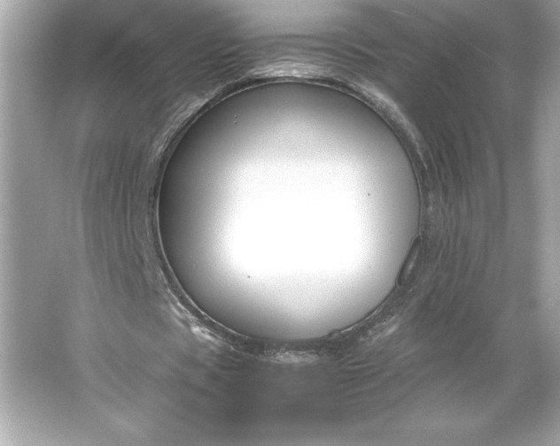 X0000066020529200603171534