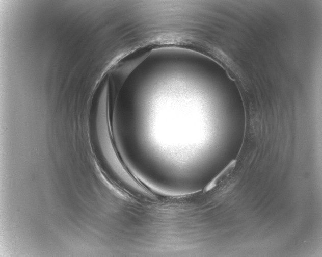 X0000066020530200603171534