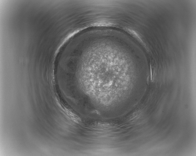 X0000066020531200603171534