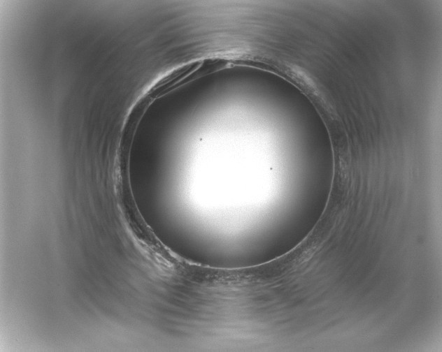 X0000066020532200603171534