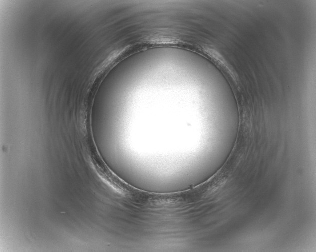 X0000066020533200603171534