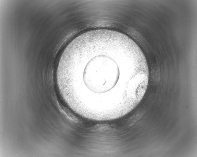 X0000066020534200603171534