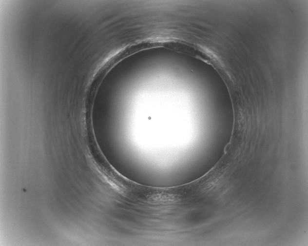 X0000066020535200603171534