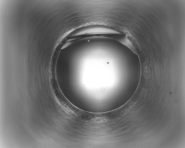 X0000066020536200603171534