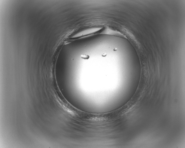 X0000066020537200603171534