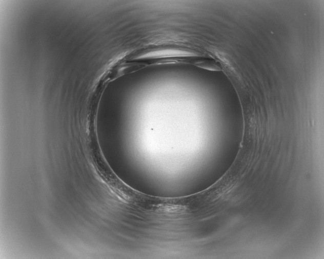 X0000066020539200603171534