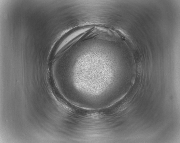 X0000066020540200603171534