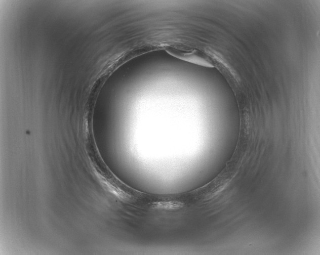 X0000066020541200603171534