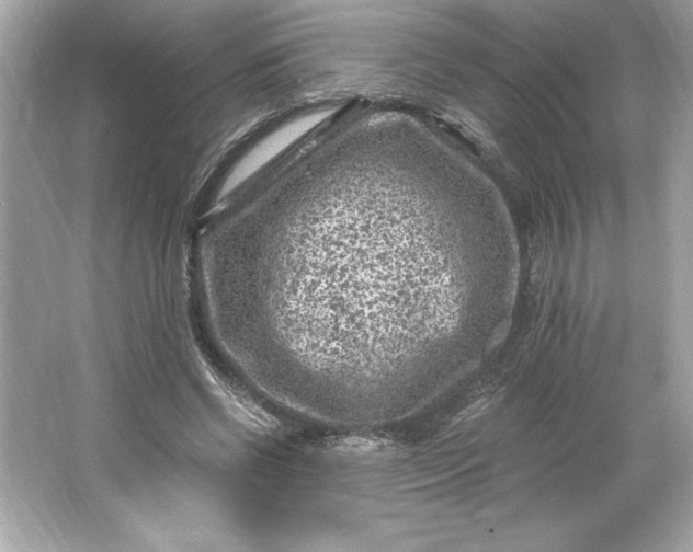 X0000066020542200603171534