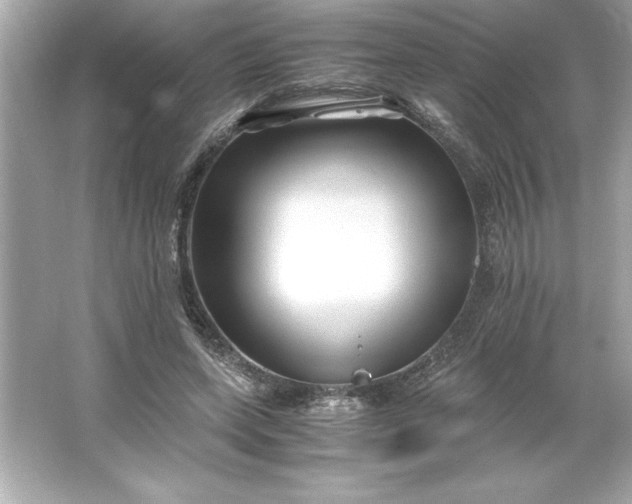 X0000066020543200603171534