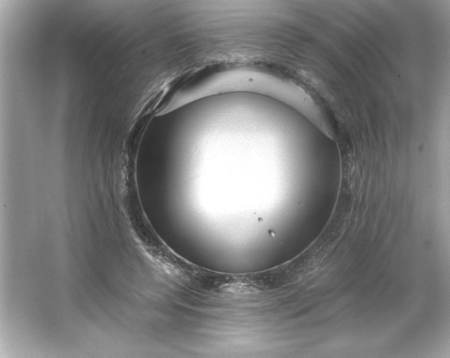 X0000066020544200603171534