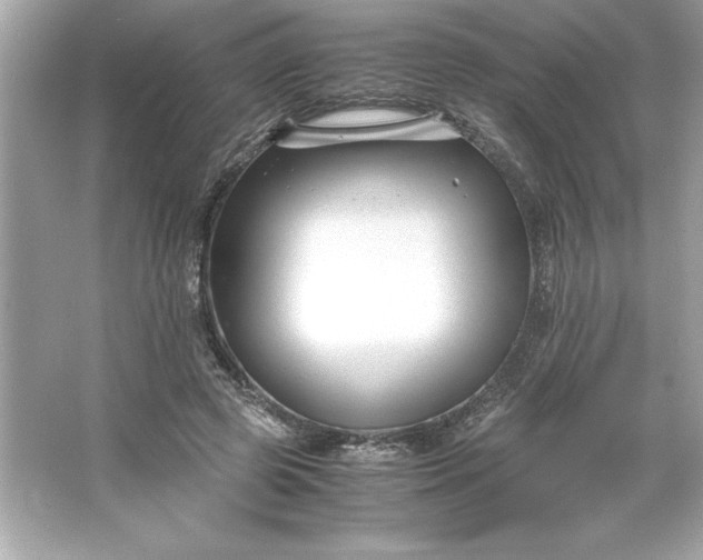 X0000066020545200603171534