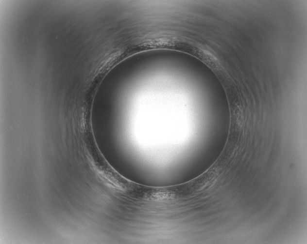 X0000066020546200603171534