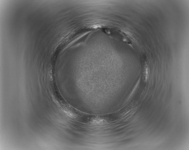 X0000066020547200603171534