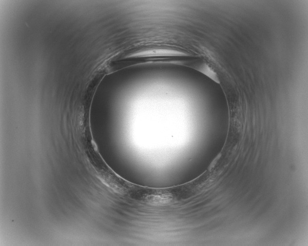 X0000066020548200603171534