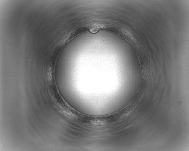 X0000066020549200603171534