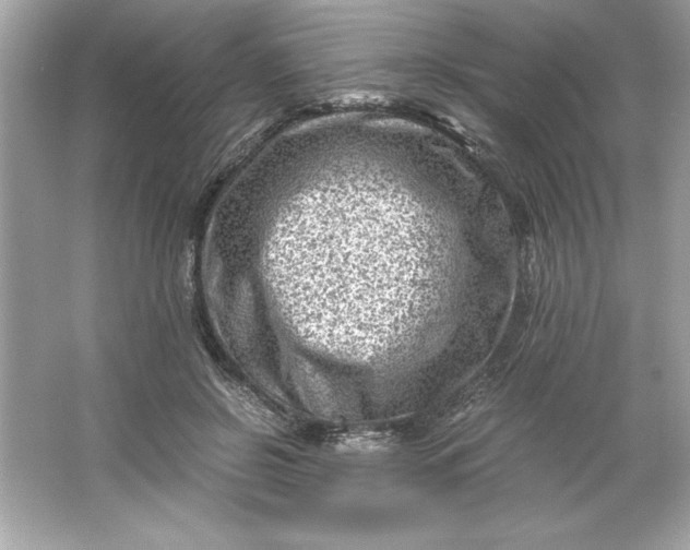 X0000066020550200603171534