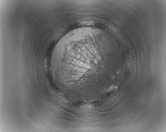 X0000066020551200603171534