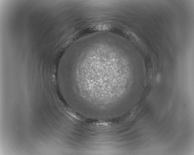 X0000066020553200603171534