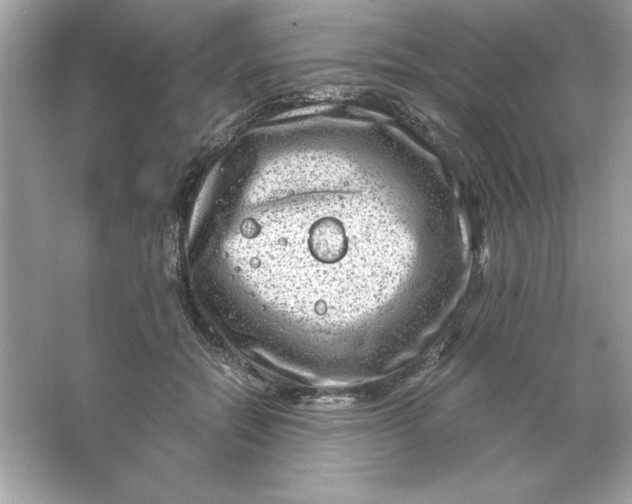 X0000066020554200603171534