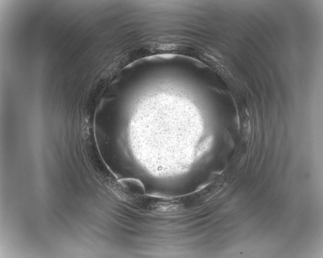 X0000066020555200603171534