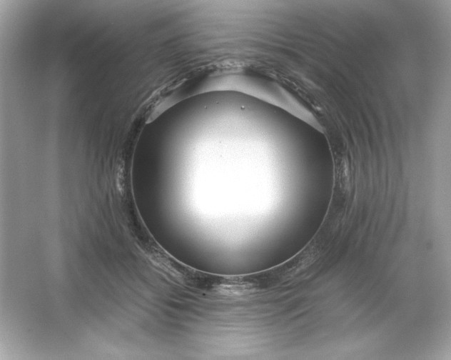 X0000066020556200603171534