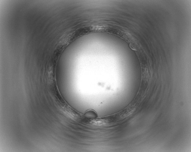 X0000066020557200603171535