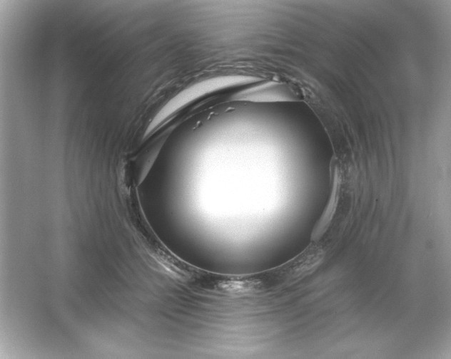 X0000066020558200603171535