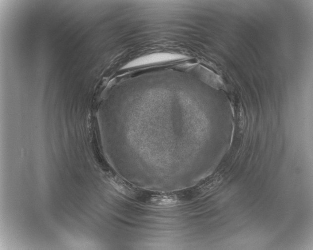 X0000066020559200603171535