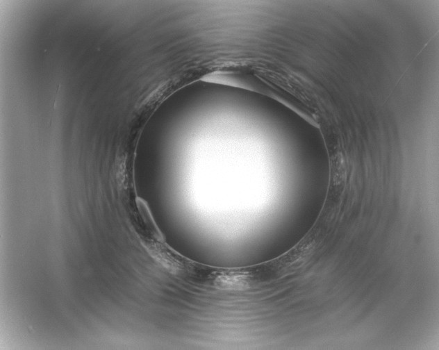 X0000066020560200603171535