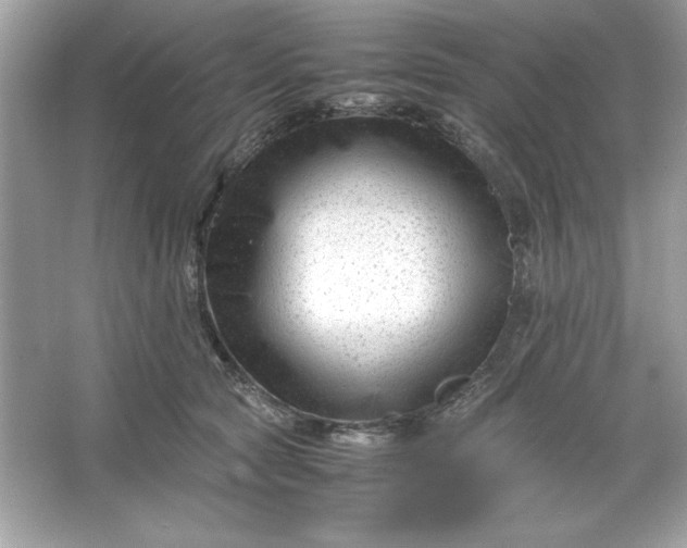 X0000066020561200603171535