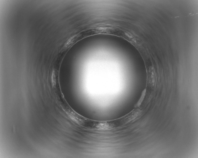 X0000066020562200603171535