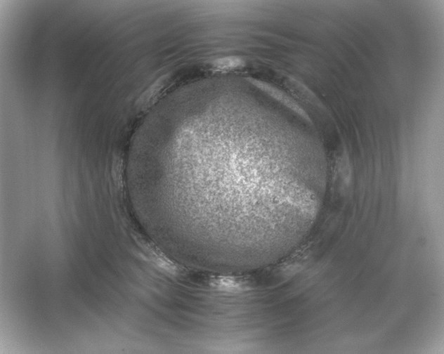 X0000066020565200603171535