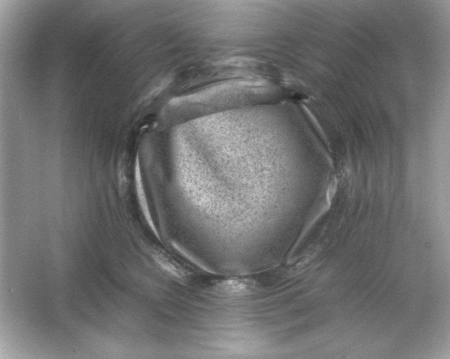 X0000066020566200603171535