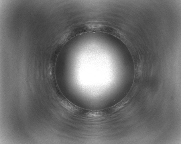 X0000066020567200603171535