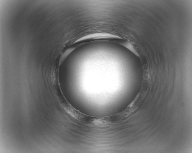 X0000066020568200603171535