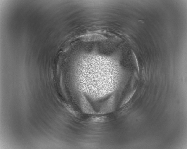 X0000066020569200603171535