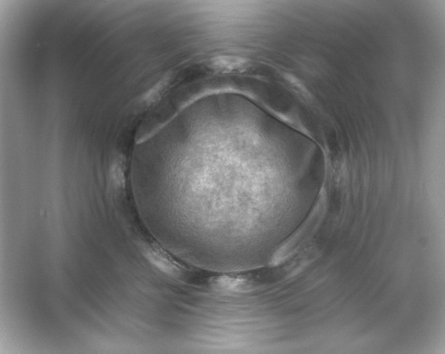 X0000066020570200603171535