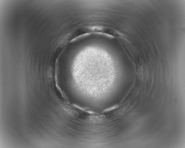 X0000066020571200603171535