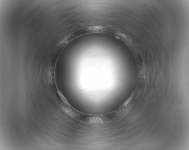 X0000066020572200603171535