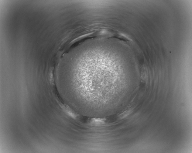 X0000066020573200603171535