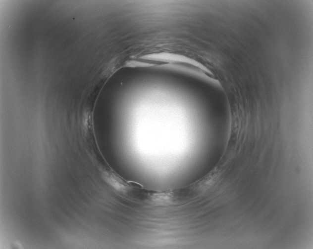 X0000066020574200603171535