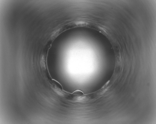 X0000066020575200603171535