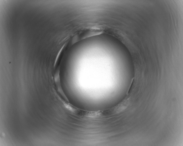 X0000066020576200603171535