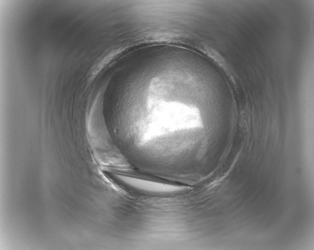 X0000066020577200603171534