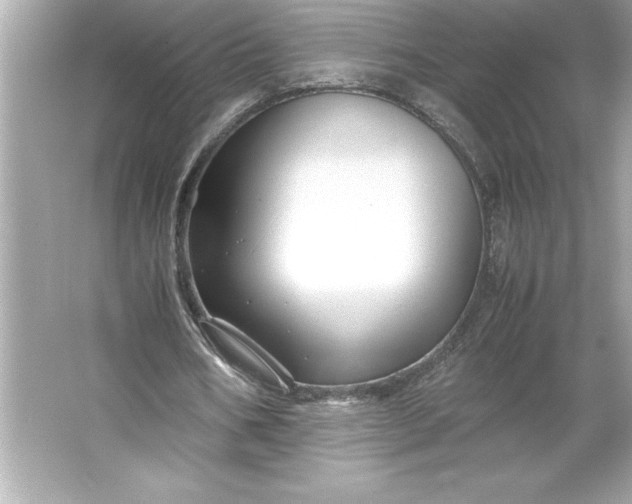 X0000066020578200603171534