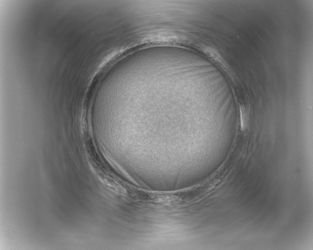 X0000066020579200603171534