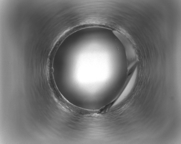 X0000066020580200603171534